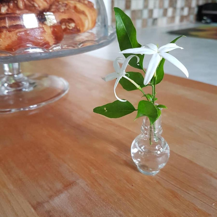 Вилла The Jasmine House Превеза Экстерьер фото
