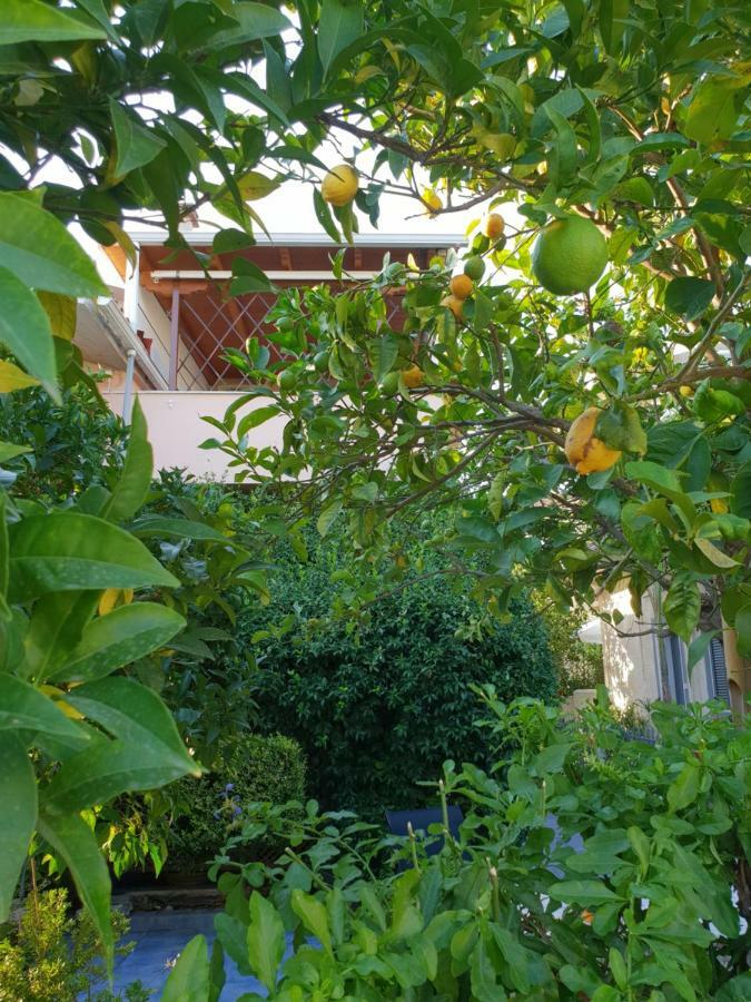 Вилла The Jasmine House Превеза Экстерьер фото